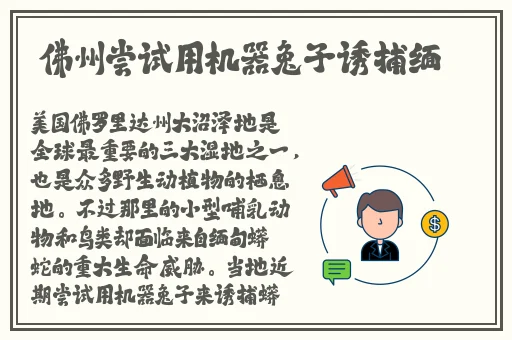 大豆行情网免费v